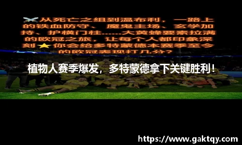 zoty中欧官网