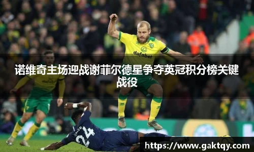 诺维奇主场迎战谢菲尔德星争夺英冠积分榜关键战役