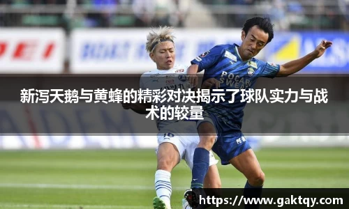 新泻天鹅与黄蜂的精彩对决揭示了球队实力与战术的较量