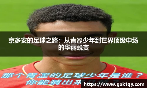 zoty中欧