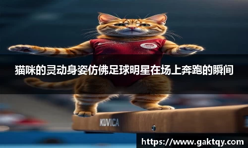 猫咪的灵动身姿仿佛足球明星在场上奔跑的瞬间