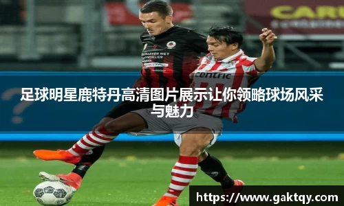 足球明星鹿特丹高清图片展示让你领略球场风采与魅力