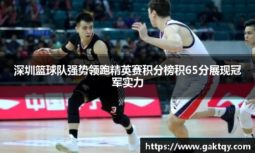 深圳篮球队强势领跑精英赛积分榜积65分展现冠军实力