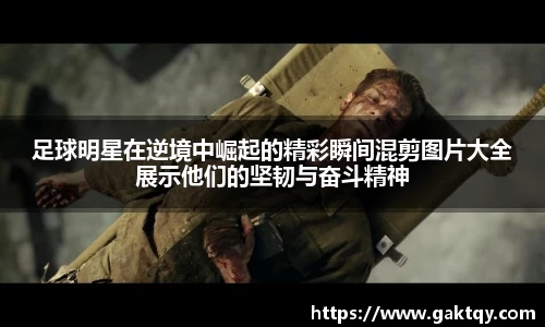 zoty中欧官方网站