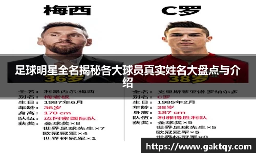 zoty中欧官方网站